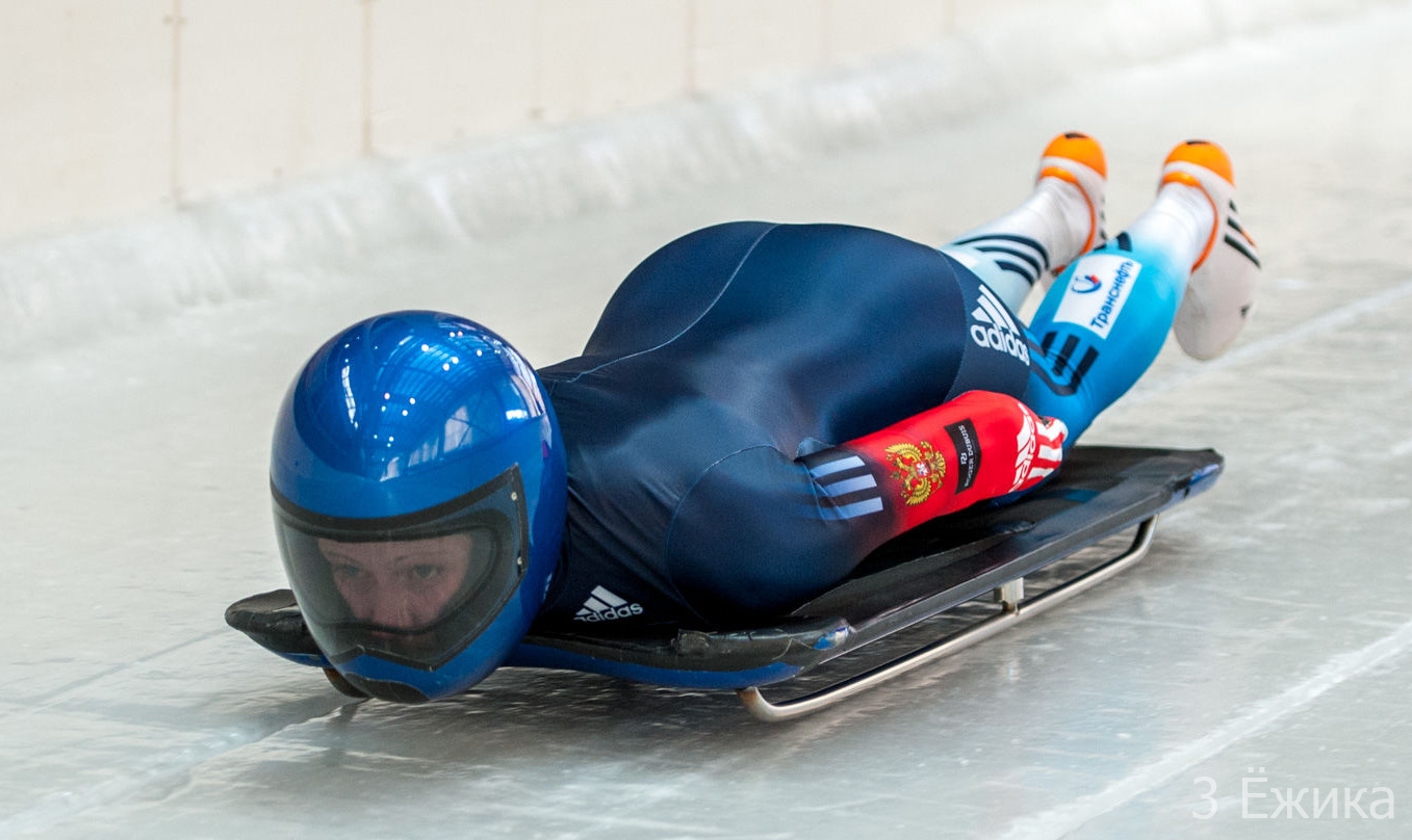 Зимние виды спорта санный спорт